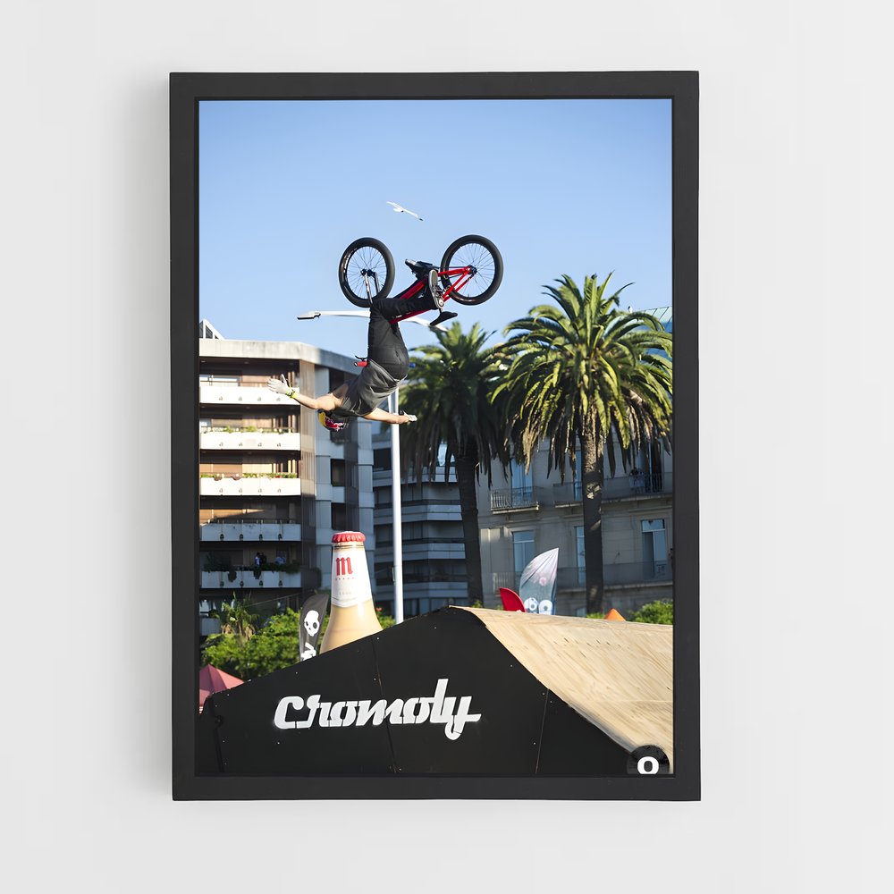 Poster BMX Stunt Master (vue 2)